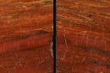 Tall, Arizona Petrified Wood Bookends - Red & Orange #166073-2